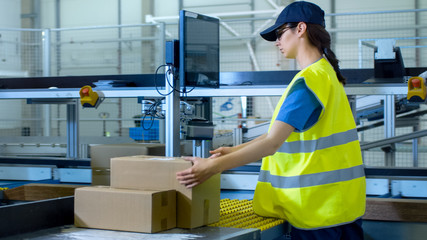 Postal Sorting Office Workers Put Cardboard Boxes on Belt Conveyor