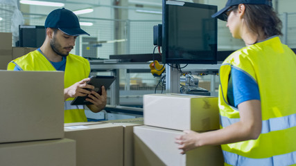 Post Sorting Center Worker Puts Cardboard Boxes on Belt Conveyor while Another Worker using Tablet PC.