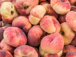 Platt-Pfirsich Prunus persica var. platycarpa