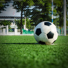 Fototapeta premium Soccer Football on the green grass of Soccer field.
