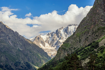 Amazing nature view of green mountain forest and tree growing on a rock, natural landscape perspective, Caucasus, Russia