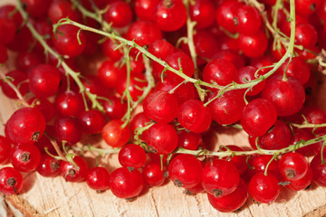 Red currant berries on a light background