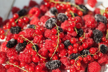 Berry mix of currants, raspberries and mulberries on a light background