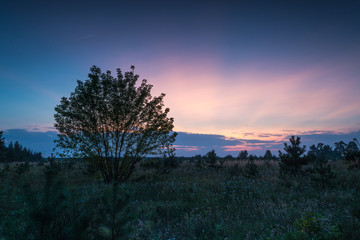 Fototapeta premium Zachód słońca w letni wieczór