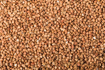 buckwheat