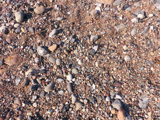 Kiesstrand an der Ostsee