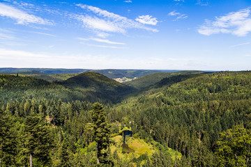 Kniebis im Schwarzwald wandern