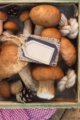 Raw white mushrooms, pine cones and tag for simple text