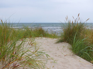 In der Düne von Rügen