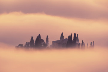 Beautiful foggy sunrise in Tuscany, Italy with vineyard and clouds. Natural idillyc seasonal autumn background