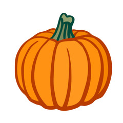 Pumpkin. Isolated object. Flat vector image.