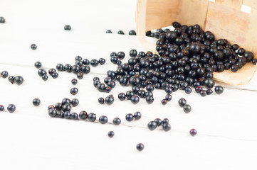 Many fresh ripe blackcurrant poured out of wooden wicker basket on old white rustic wooden planks