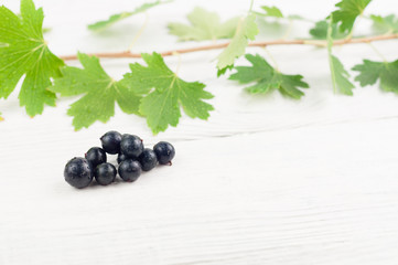 Fresh ripe blackcurrant and branch with green leaves on old white rustic wooden planks