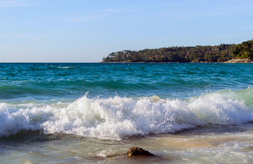 beautiful waves in the sea