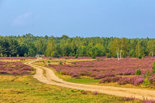 Truppenübungsplatz Bilder Durchsuchen 4,881 Archivfotos