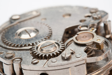 Detail of watch machinery on the table.
