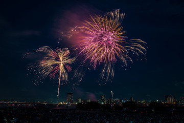 Fototapeta na wymiar Japanese fireworks - 日本の花火　東京足立区１６