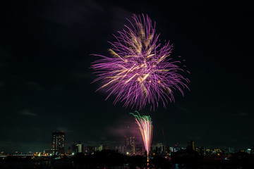 Japanese fireworks - 日本の花火　東京足立区４