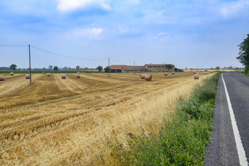 Farm near Zaffignana (Piacenza, Italy)