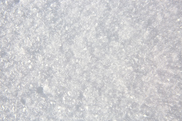 Macro shot from Snow.