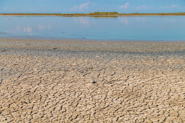 Obraz premium cracked clay soil beach