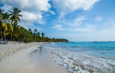 Saona island