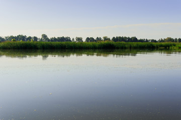 Minimalistic water landscape with green trees on the river shore