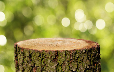 Tree trunk background