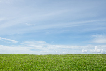 Fototapeta premium grass field with blue sky