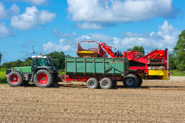 Loading of the harvested potatos - 0020