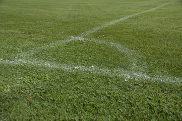 Fussballrasen 