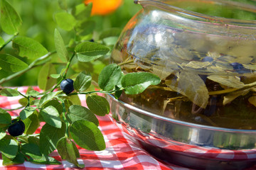 Healthy herbal tea from the leaves and blueberries in the pot in the garden - prescription alternative medicine