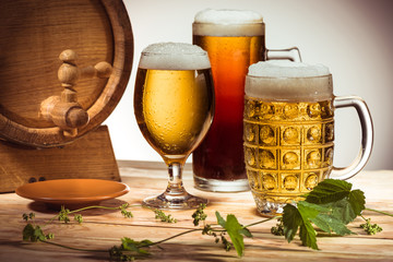 different beer and hops