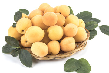 Fototapeta na wymiar fresh apricots on a white background with leaves and a basket