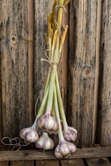 Cloves of garlic on rustic  table