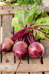 Young,fresh beets with tops on old wooden background.