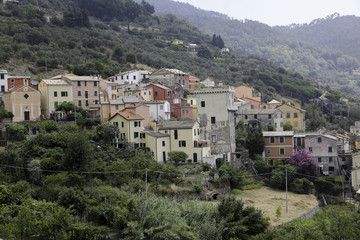 Fototapeta na wymiar Village in the Cinque Terre