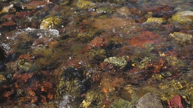 Forest stream running over colorful rocks and stones in slow motion. 1920x1080