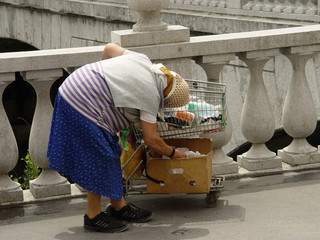 Armut - Frau mit Einkaufswagen - obrazy, fototapety, plakaty
