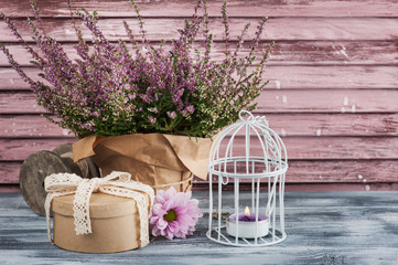 Pink heather in pot, gift box with lace bow