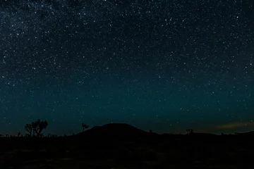 Deurstickers Heldere sterren boven Joshua Tree Desert © kellyvandellen