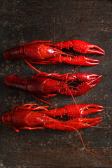 Delicious boiled crayfish close-up. Dark background. Dinner with
