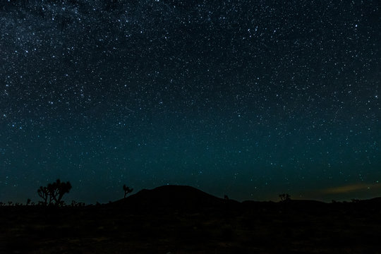 Bright Stars over Joshua Tree Desert