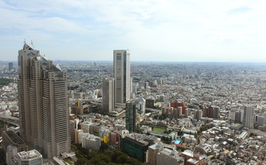 Fototapeta na wymiar 日本の東京都市景観「東京オペラシティ方向（画面中央付近）や横浜方面（画面少し左よりの水平線付近）などを望む」