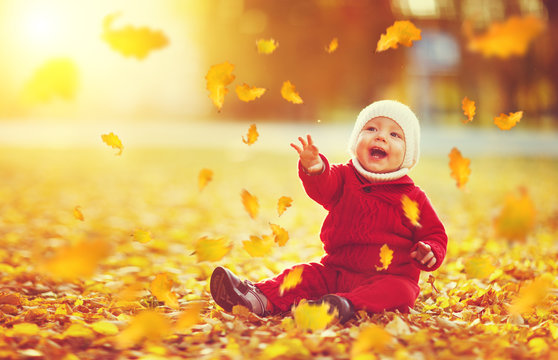 happy baby boy throws autumn leaves and laughs