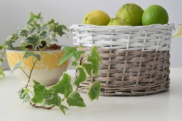 Cesta con limones y lima. Yedra