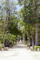 Obraz premium Villa Giulia park in Palermo, Italy