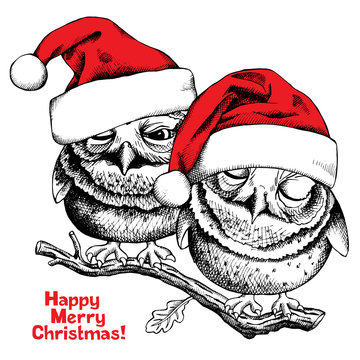 Christmas card. Image of a two small owls in Santa's hat on oak branch. Vector illustration.