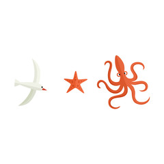 Set of sea life objects - seagull, octopus and starfish, flat style cartoon vector illustration isolated on white background. Simple flat style cartoon seagull, octopus and starfish