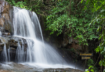 Pangsida national park